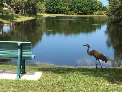 7780 SE Needle Palm Circle, Hobe Sound, FL 33455