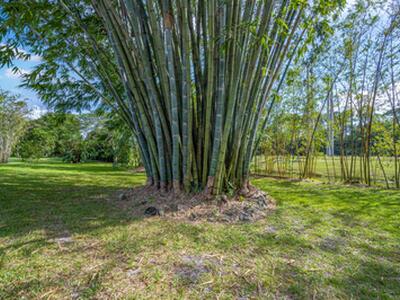 12434 Quercus Lane, Wellington, FL 33414